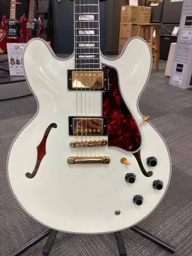 Epiphone - EC35559CWVGH 2